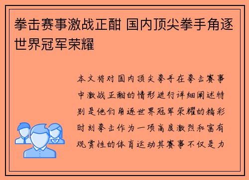 拳击赛事激战正酣 国内顶尖拳手角逐世界冠军荣耀